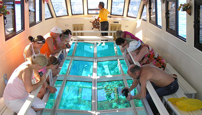 Glass Bottom Boat Cruise And Coral Reef Viewing